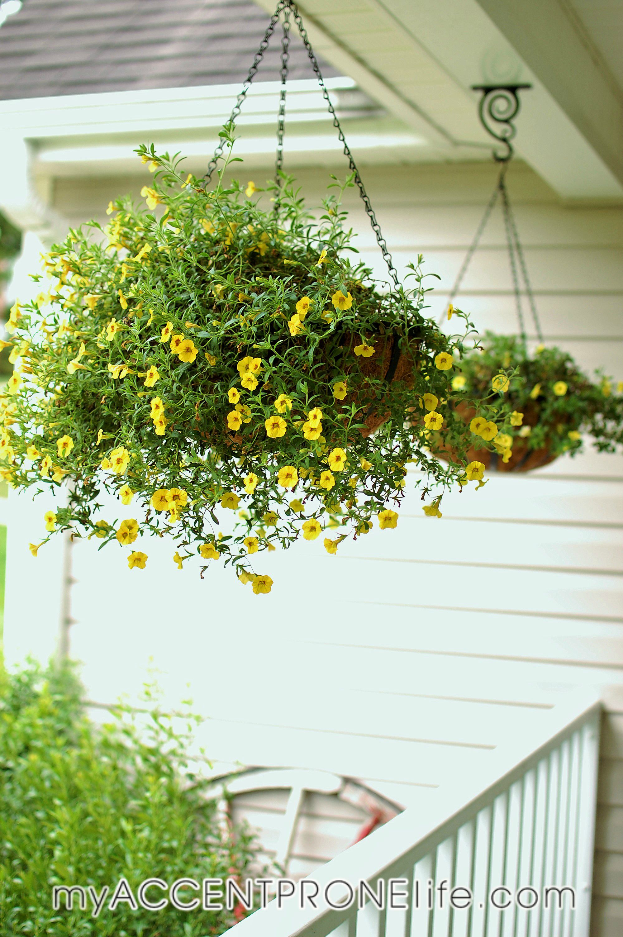 hangingflowers